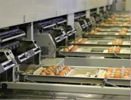 高速流媒體相機PROMON, 高速流相機代理, 適用于工業過程分析的相機