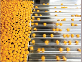 高速流媒體相機PROMON, 高速流相機代理, 適用于工業過程分析的相機